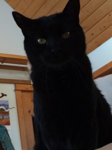 Fall and Winter 2015-1-2016 022