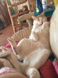 Fall and Winter 2015-1-2016 030